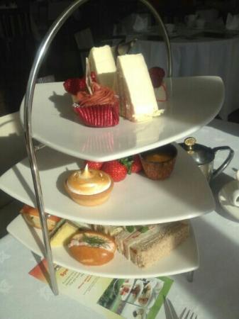 The Olive Tree & Garden Room